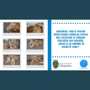 Concursul public privind identificarea numelor pentru noii viețuitori ai Grădinii Zoologice din Chișinău „Vreau și eu un nume în această lume!”