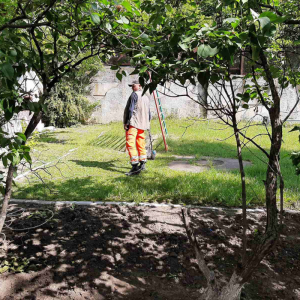 Salubrizarea și igienizarea teritoriului se face regulat și prin cositul ierbii în IET nr. 197