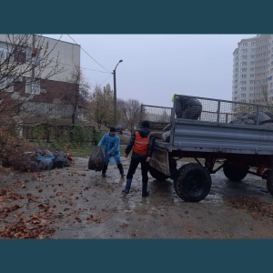 Evacuarea frunzișului de pe teritoriul aferent/adiacent al IET nr. 197