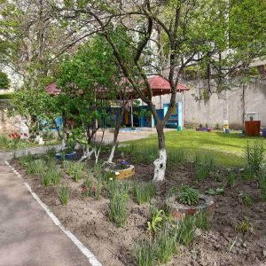 Terenul aferent/adiacent al IET nr. 197 este salubrizat