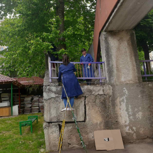 Gospodarul bun se vede de la poartă !